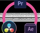 動画文字起のPremierePRJ作成まで承ります 編集サポート、AE、DavinciResolveも対応可。 イメージ1
