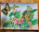 お子さんが喜ぶような絵を描きます ほんわかした動物や蝶々を描きます イメージ2