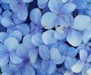 ちょっと話したいとき、元ナースが話し相手になります 日々の疲れを癒していきませんか♪どんなことでもOK☆ イメージ10