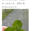 記念日にオススメ／あいうえお作文を創ります 大切な方のお名前などを用いて言葉を紡ぎメッセージを作成します イメージ1