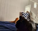 今話したい！聞いて欲しい！スッキリさせます 難しい話はしたくない、でも喋りたい気分なのーなお客様大歓迎！ イメージ5