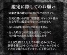 5名限定価格☆転職の悩みをタロット霊視で鑑定します ツラい職場の人間関係、見えない将来への不安からの解放 イメージ9