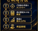 誰もが知りたかったFX資金管理の全てお見せします 5万円から300万円を目指す運用設計図 イメージ7