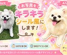 お写真からます お子さまやわんちゃんの写真を可愛いくします！ イメージ2