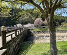 何気ない風景や素敵だなぁと思う写真を提供します 色々な風景写真はいかがですか？ イメージ4