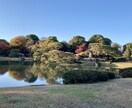 悩み、愚痴、もやもや、何でもお聞きします 雑談OK！何分からでも、何分でもお話聞きます イメージ1