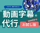 お試し版:字幕代行を5000円でやります 丁寧な字幕入れで、あなたの動画を見やすく仕上げます! イメージ1