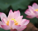 誰でも歓迎☆丁寧にあなたのお話をお聴きします 雑談／無駄話／おしゃべり／傾聴／学生／社会人どんなことでも イメージ6
