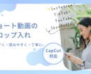 ショート動画のテロップ入れを丁寧に対応いたします 実績作りのため、勉強させてください！ イメージ1