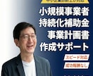 持続化補助金の事業計画書作成をサポートします 中小企業診断士が対応｜成功報酬なし｜スピード納品 イメージ1