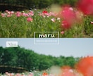 写真を柔らかく透明感のある雰囲気にレタッチします 空気感が伝わるような、思い出の一枚へ イメージ3