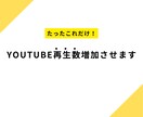 Youtube投稿再生数を1000回単位で増加ます Youtubeの投稿の再生数を１０００回単位で増加させます。 イメージ1