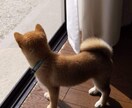 あなたのお話聞聞きます お悩み、愚痴、雑談なんでも聞きますよ！ イメージ2