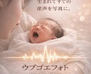 ウブゴエフォト｜赤ちゃんの写真を優しく整え残します 産声をあげた瞬間を神秘的に仕上げます イメージ3