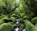 看護師があなたの心の辛さに寄り添い看護します 現役看護師(精神科)の立場から、お心を救えるよう導きます。 イメージ2