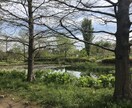 小学生から高校生までをオンラインで英語指導します 発音、イントネーション、リズムを大切にした授業をします。 イメージ1