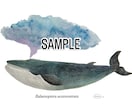 くじら、シャチ、魚類等のイラスト描きます 水生生物の絵を描くのが得意です★他サイト様でも販売実績あり★ イメージ1