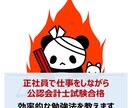合格者が公認会計士試験の効率的な勉強法を教えます 正社員（IT業界）で仕事をしながら合格した効率的な勉強法です イメージ1