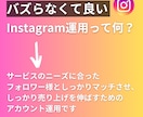 バズらないInstagram運用コンサルします バズらず成果！Instagram運用で売上と繋がりを実現 イメージ2