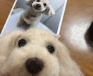 羊毛フェルト作品を手直しします 「思ったのとなんか違う（T_T）」を解決します♡ イメージ4