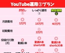 YouTube運用代行コンサルタント承ります 現YouTuberのゆっくり実況解説！副業の第1歩をサポート イメージ4