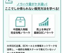 Amazon中国輸入物販をマスターできます 大人気の物販の副業ならAmazon中国輸入がおすすめ イメージ1