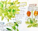 アナログイラスト描きます 簡単なペン画から、ちょっと細かい絵まで、何でも描きます イメージ5