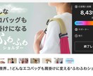 MakuakeのLPを作成します 2億3000万円実績『Makuakeエバンジェリスト』です。 イメージ6