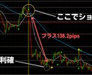 専業FXトレーダーが使用する秘密の手法を教えます 相場にビビる必要一切なし！正攻法を伝授してあなたを勝ち組に！ イメージ2