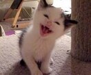 あなたの初めてのお手伝いをしますます 初めてを卒業したい人、卒業のタイミングを逃した人へ イメージ1