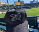 野球場で撮影した写真を販売します 趣味で撮った写真(甲子園やエスコンでの)を提供します イメージ3