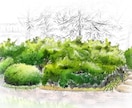 イメージスケッチ描きます 緑に癒される自然のイラストです イメージ3