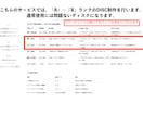 CD・DVDデータ書き込み配送納品致します 標準品質ディスクをApple純正ドライブで書き込み！ イメージ3