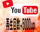 YouTubeの再生回数+5000回数増やします YouTube再生回数5000回増えるまで拡散！減少保証付！ イメージ5