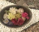 仕事や私生活のモヤモヤ、お聴きします ☆何でも吐き出して、今夜、ゆっくり眠りませんか？＾＾ イメージ3
