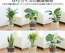 まじめに風水☆あなたの体質に合う風水処方します ココナラ初心者の方はこちらへどうぞ！【ココナラ初心者大歓迎】 イメージ7