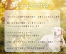 愛犬と飼い主様の心を繋ぎたい。ワンコと話します タロット・ダウジング・アニコミの３本柱で愛犬の気持ちを深堀り イメージ4