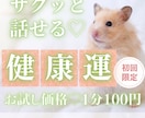 10分でサクッ！あなたの「心と体の巡り」を占います 【7月末まで♡初回限定】1分200円→100円｜モヤモヤ整理 イメージ1