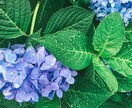 あなたの恋愛相談、悩みや愚痴、なんでもお聞きします なんだか寂しい…誰かと話したい…そんな気持ちに寄り添います イメージ2