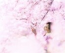 日本風の写真を提供します "Discover Your Japan." イメージ3