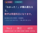 リケジョ／なぜ？からわかる中学数学を教えます 丸暗記ゼロ。つまずきの原因から丁寧に解決します。 イメージ1