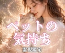 本日すぐ鑑定！ペット占い　霊視で鑑定します ペット 家族 虹の橋を渡った子からのメッセージもお届けします イメージ1