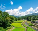 投資での悩み事を聞きます 都会生活から田舎生活を実現！！大自然で投資生活！ イメージ1