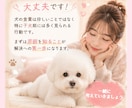 愛犬の食糞、一緒に原因考えます 愛犬の食糞のお悩み、優しくお聞きします イメージ3