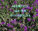 60分チャット:悩み・愚痴なんでもお聞きします 電話よりチャットの方が話しやすい方へ イメージ1