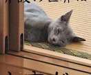 経験者が介護世界の現場での話し全て聞きます 現場介護士さんの悩み・相談・愚痴何でも話して下さい イメージ2