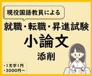 就職・転職・昇進試験の小論文を国語教員が添削します あなたの能力や熱意が伝わる文章に。アドバイスで文章力もUP！ イメージ1