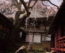 京都旅行のプランを考えます 京都旅行のオリジナルプランを考えます！ イメージ1