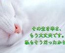 その生き辛さ、私も分かります 周りに理解して貰えない…、『それって私がおかしいの??』 イメージ1