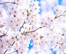あなたの味方になります 一人で悩まないでください。なんでも寄り添います(^^) イメージ3